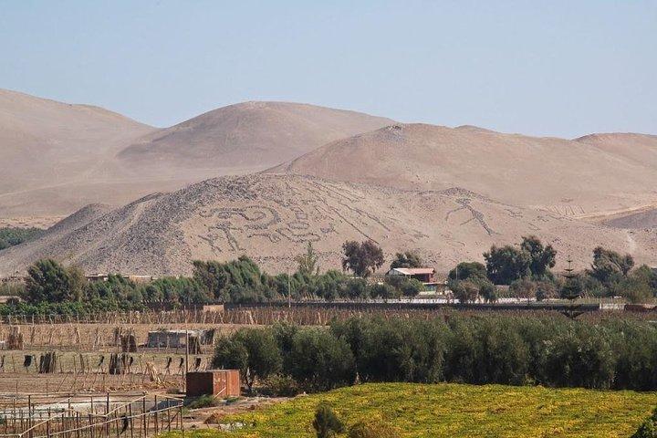 Arica, City Tour & Archeology in Azapa - Half day