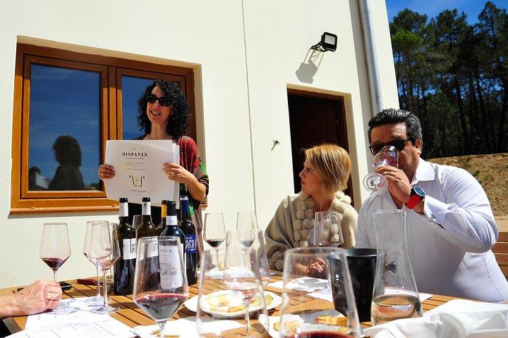 Ribera del Duero Wineries Guided Tour & Wine Tasting from Madrid