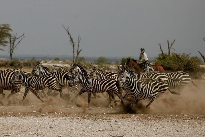 Horse safaris in Tanzania 