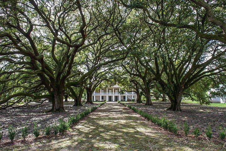 Whitney Plantation Tour with Transportation from New Orleans