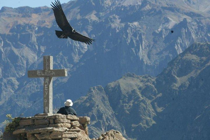 Full day Colca Canyon tour from Arequipa
