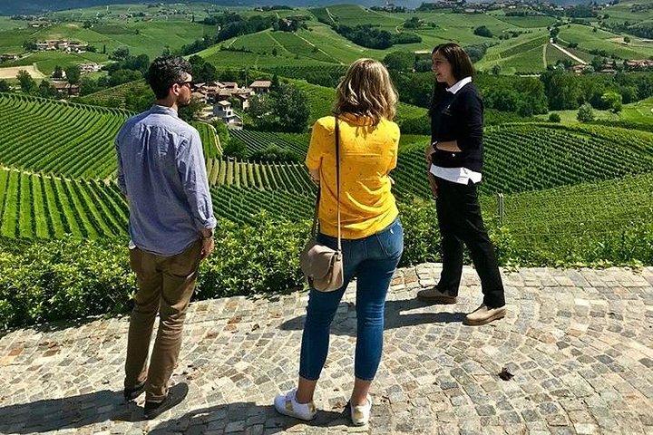 Langhe Wine Tour and Tasting - One day with a Somm