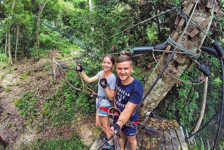 Skytrex Adventure in Langkawi (with transfers)