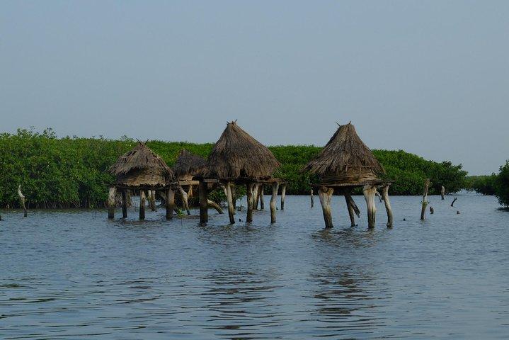 Your private driver & tour guide in Senegal-the shell island