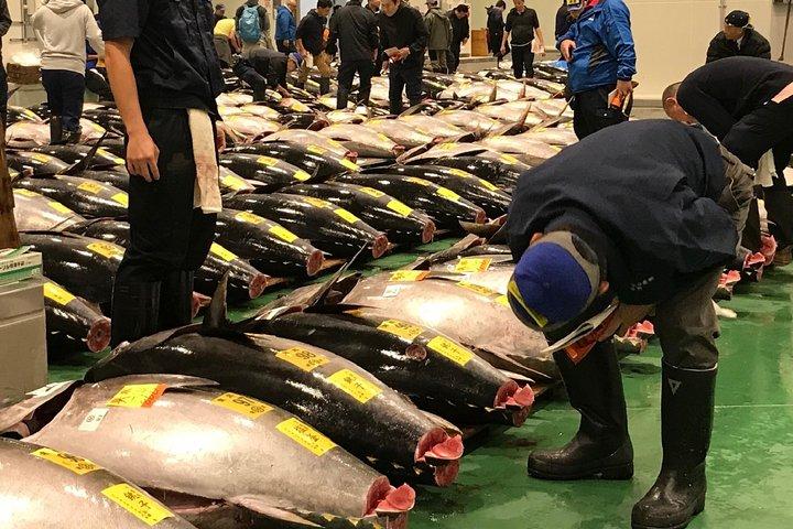 Tuna Auction and Market Tour at 'Activity Maison Kissako'