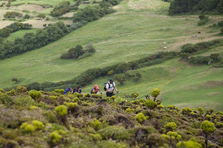 10 Volcanos hiking private tour in Faial