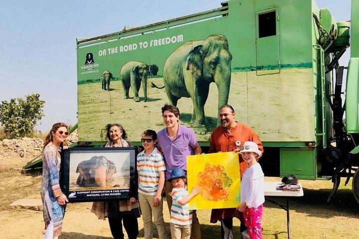 Round Trip Transfers to Wildlife SOS Elephant Conservation, Agra