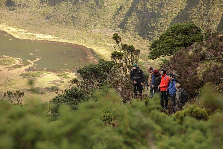 Caldeira do Faial Descent - private hiking tour