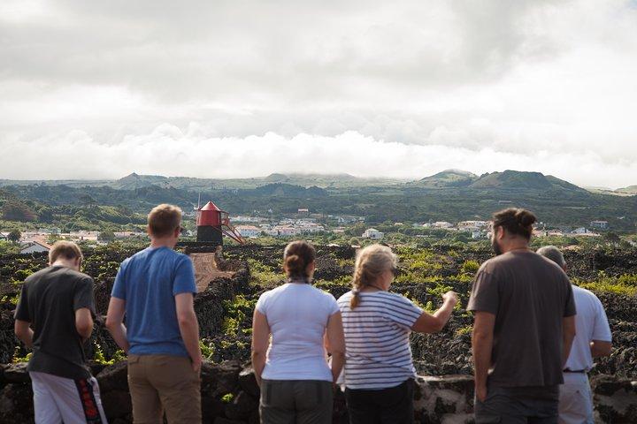 Banana Trip - Full day private tour to Pico with Round Trip from Faial