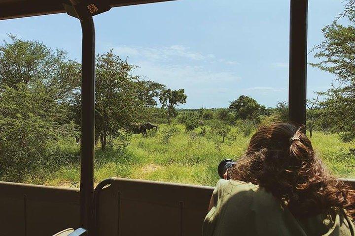 Kruger Park 1-day Safari from Maputo (Open-backed Safari Vehicle)