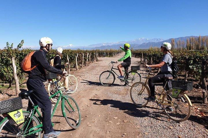 Bike, wines & lunch at Luján de Cuyo (Mendoza)