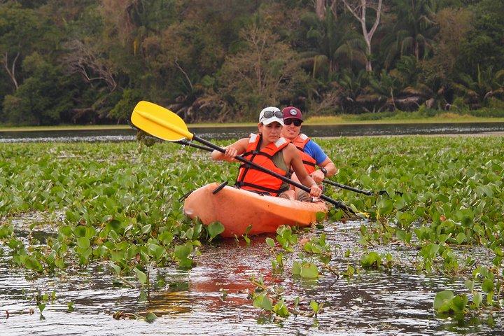 Kayaking tour in the Chagres River