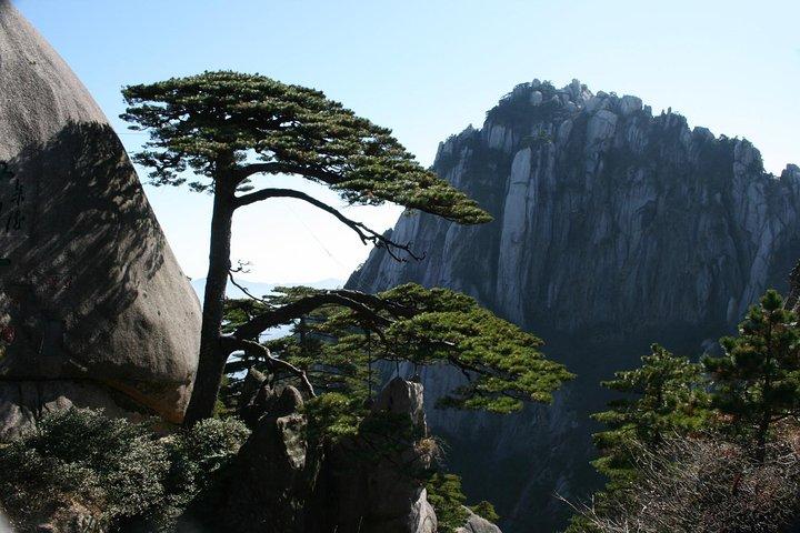 Private 2 days tour to visit Huangshan Mountain and Hongcun village 