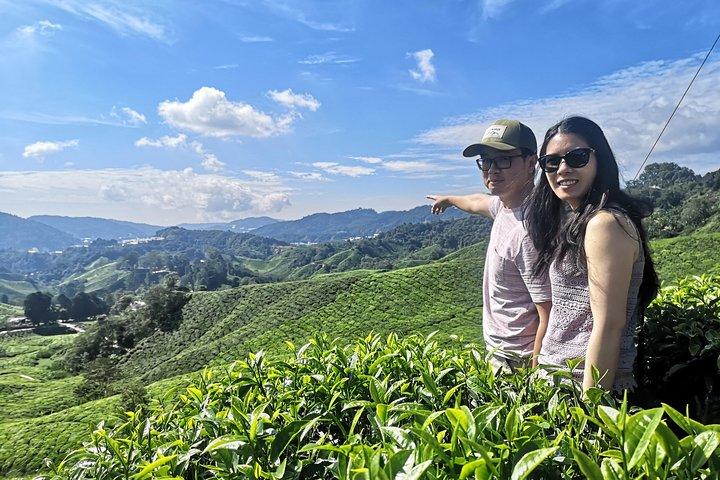 Cameron Highland Best Tour from Ipoh (Private Day Trip)