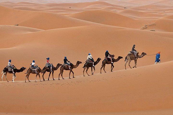  Luxury 2-Days Desert Trip from Fes to.:( fes or marakech)
