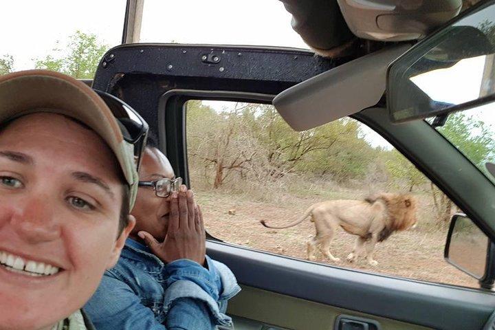 Safaris in Kruger National Park Full Day