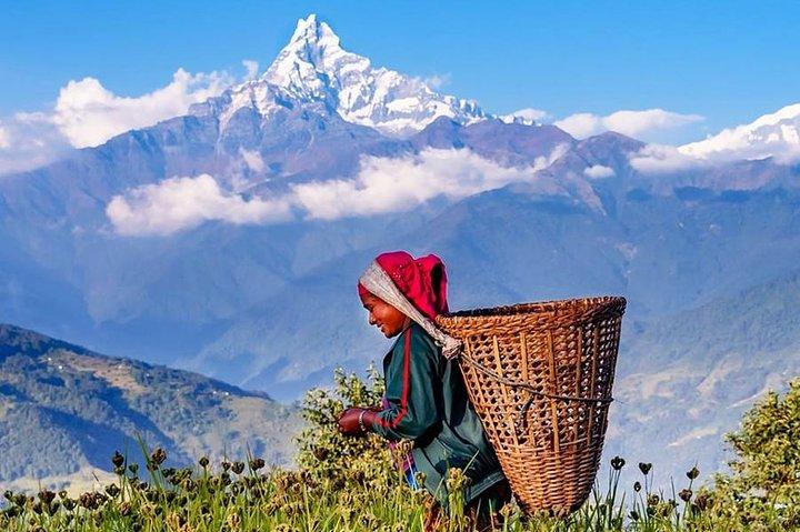 Private Full-Day Hike in the Annapurna Foothills in Pokhara