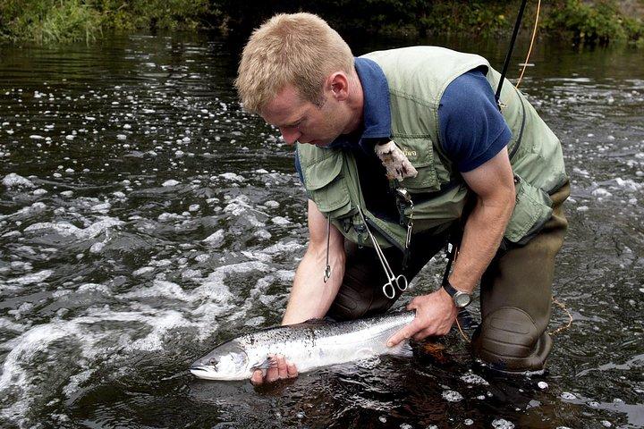 Atlantic Salmon & Sea Trout fishing.Erriff River, Mayo. French speaking Ghillie.