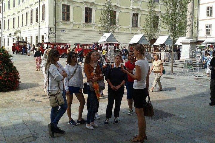 Bratislava City Private Walking Tour