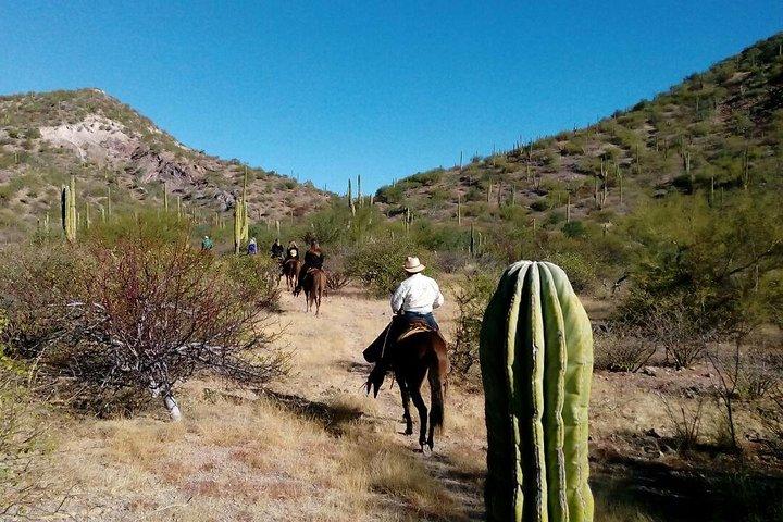 Baja Desert Horseback Riding Tour 