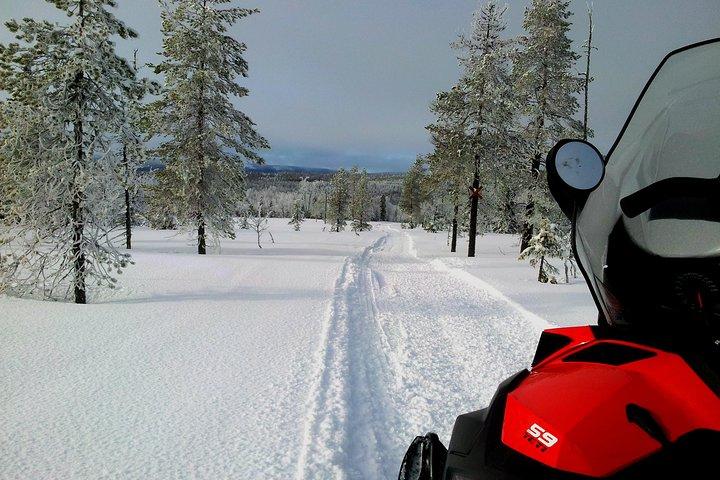 Snowmobile Adventure in Swedish Lapland (Day tour)