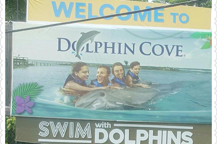 Dolphin Cove Adventure 