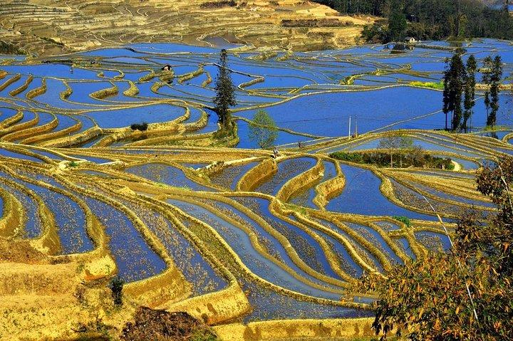 4days private tour Stone forest Yuanyang Terrace Jianshui old town from Kunming