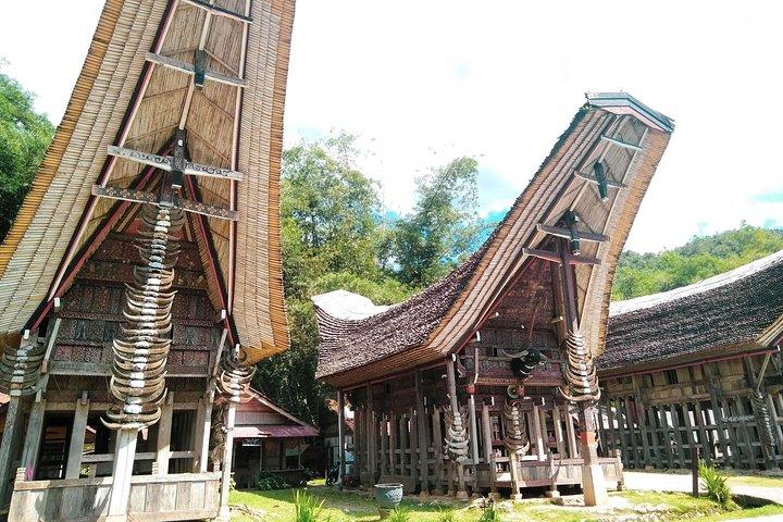 Toraja Cultural Exploration 4 Days