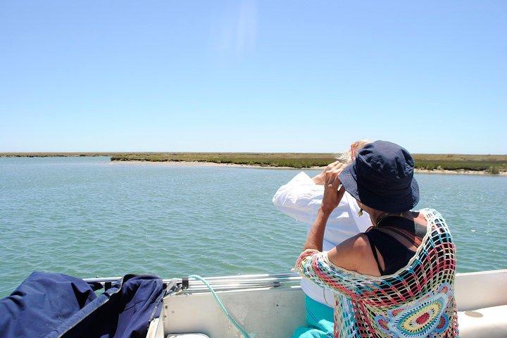 2-hour Bird Watching Guided Boat Trip in Ria Formosa from Faro Algarve