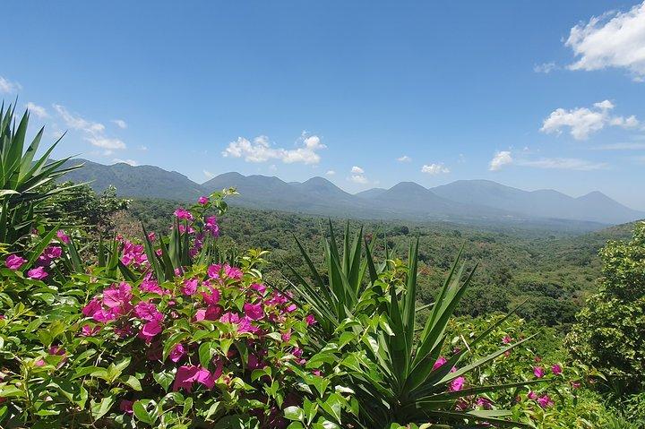 Full Day Ruta de Las Flores visit four Colonial Towns and Coffee Farm