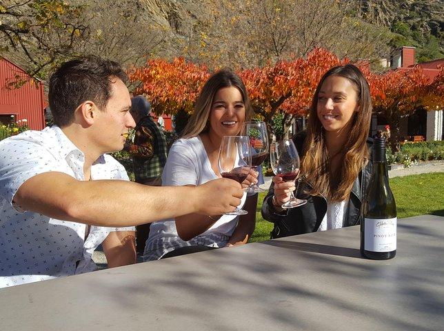 5-Hour Wine and Food Sampler Tour from Queenstown