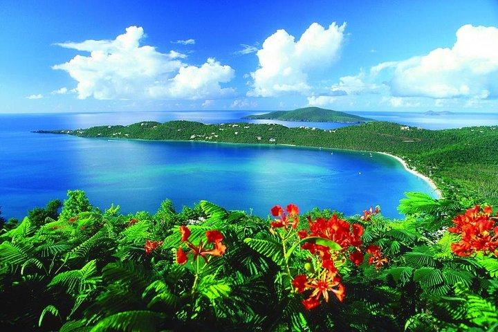 Paradise Taxi & Tours USVI - St. Thomas, Virgin Islands- Island Scenic Tour