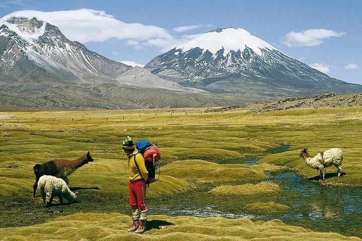 4-Days Unique Experience at the Chilean High Plateau