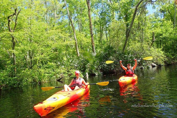 Self Guided Family Friendly Kayak Rental Experience Old Florida 