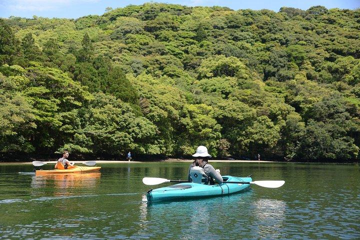 Kayaking in Anbo River
