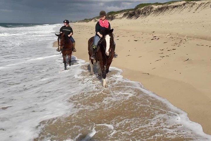 Day trip to Macaneta beach + horse ride
