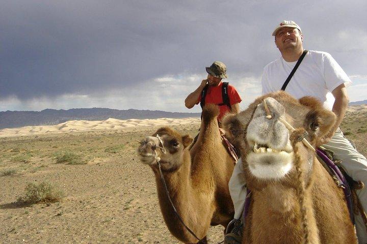 1 Day Semi-Gobi Tour Including Lunch And Free Camel +Bonus Khustai National Park