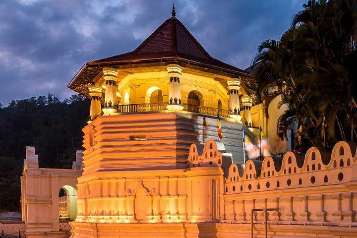 Kandy Private Day Tour From Colombo and Negombo