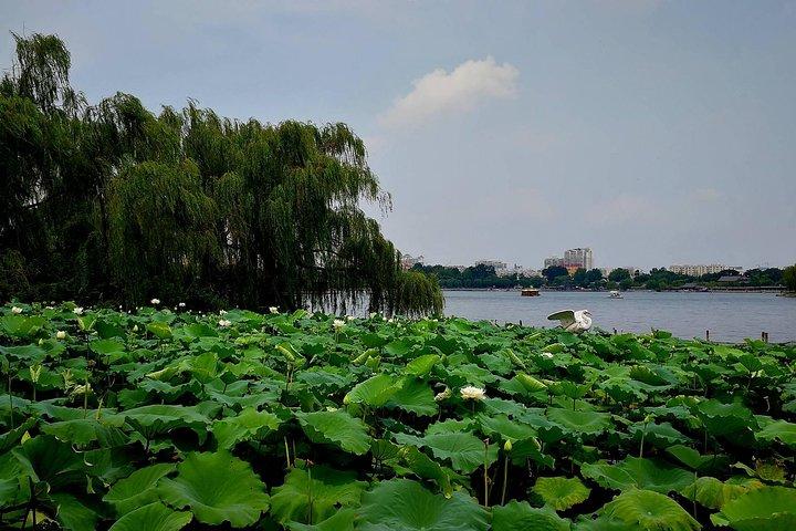Flexible Jinan City Highlights Private Day Tour with Lunch