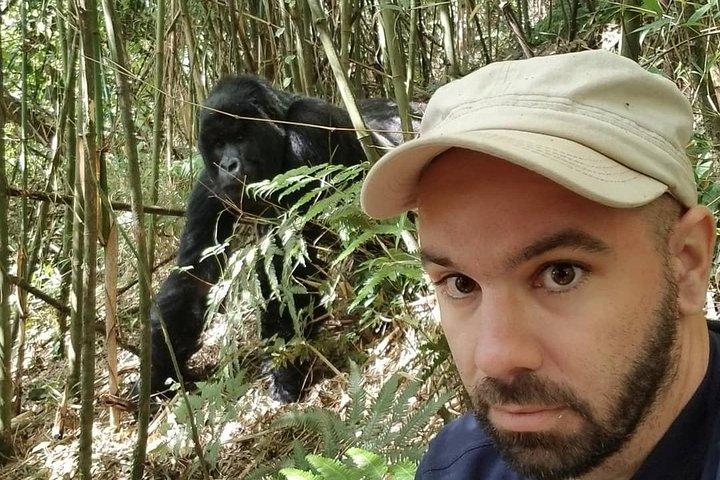 From Kigali: 2-Day Rwanda Gorilla Trekking Experience