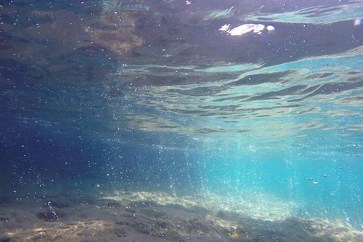 Snorkeling among the Underwater Caves of Ischia Ponte