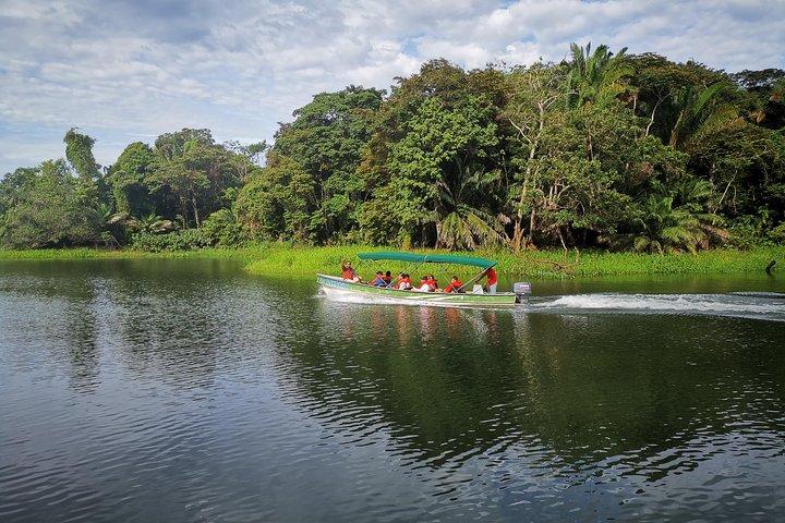 5hr Combo-Panama Canal Monkey Safari & Jungle Walk w/Local Brunch