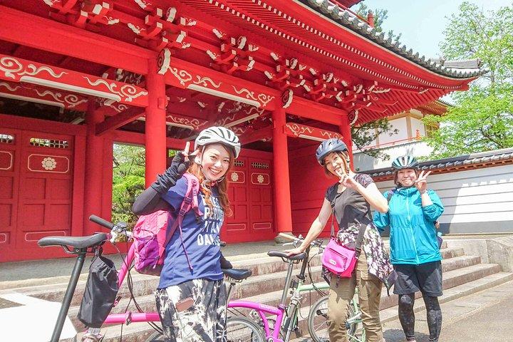Mima Temple-Town BROMPTON Bicycle Tour