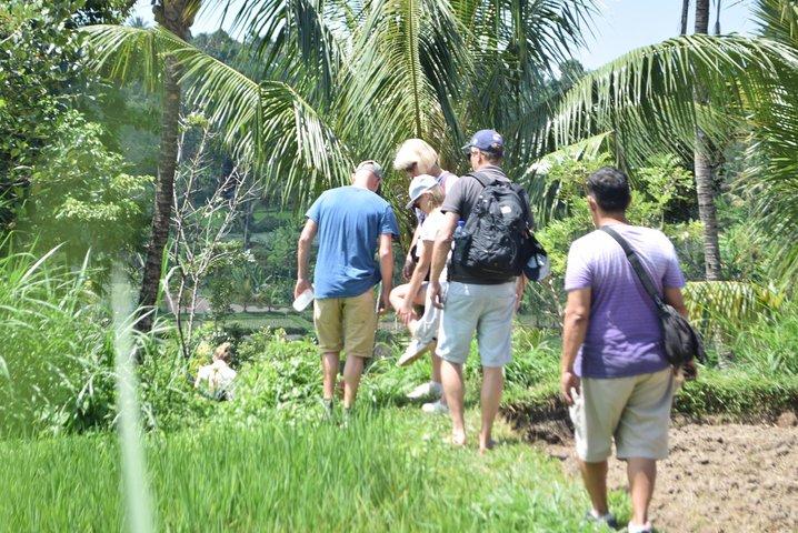 Tetebatu Walking Tour - Rice Terraces, Waterfall & Monkey Forest