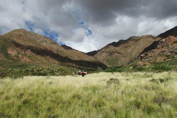 Horseback expedition to The Andes, 3 days
