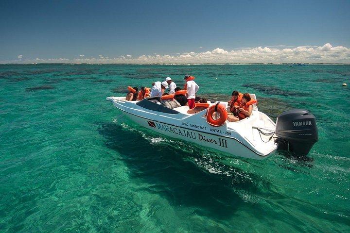 1-Day Tour to Maracajaú - From Natal (Optional Speedboat)