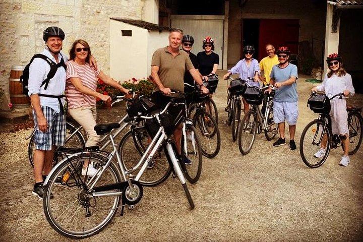 Vineyard cycle tours in and around Chinon, in the Loire Valley
