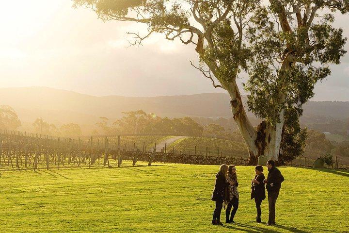 Hahndorf and Adelaide Hills Hop-On Hop-Off Winery Tour from City