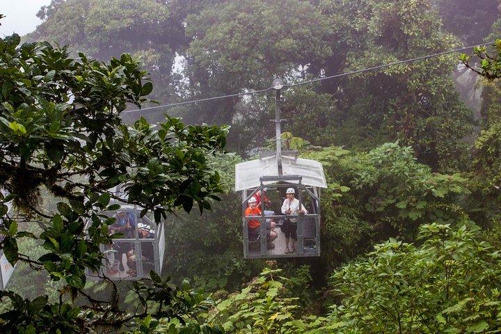 Sky Tram & Sky Trek From Monteverde