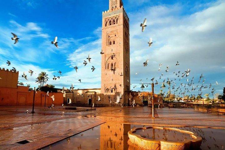 Full day trip to Marrakech from Casablanca
